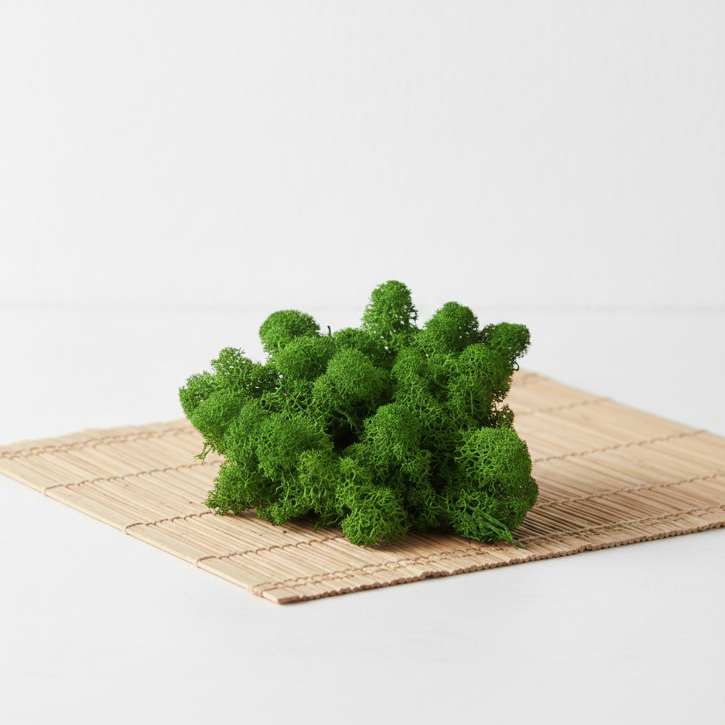 Stabilizovaný Moss Reindeer trávově zelený – přírodní dekorace do aranžmá a věnců